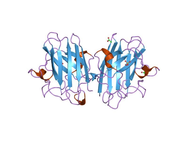 File:PDB 2c9u EBI.jpg