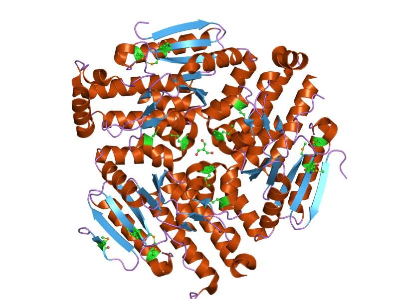 File:PDB 2f6q EBI.jpg