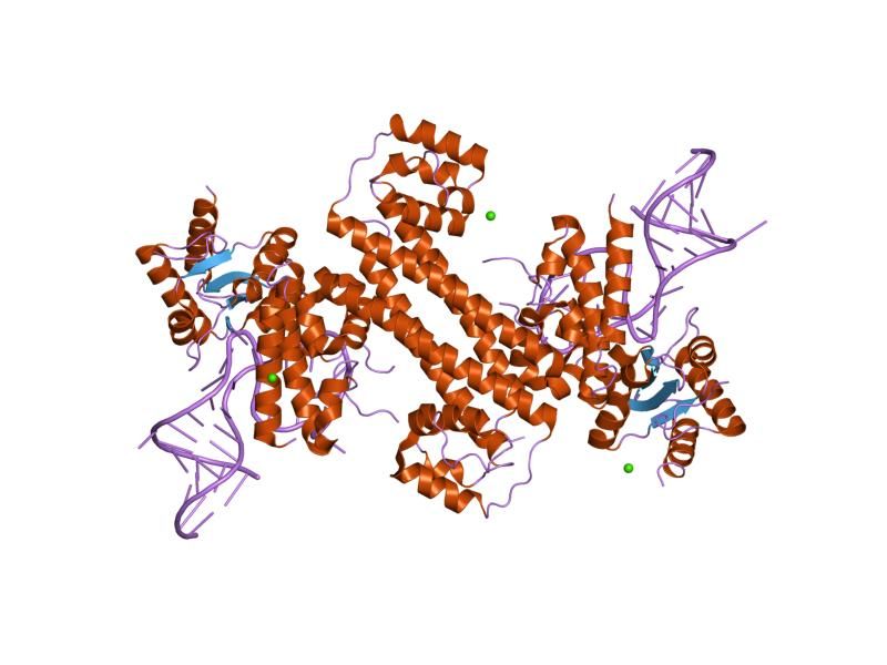 File:PDB 2ozb EBI.jpg