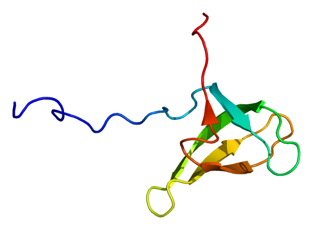 File:Protein LBR PDB 2dig.png