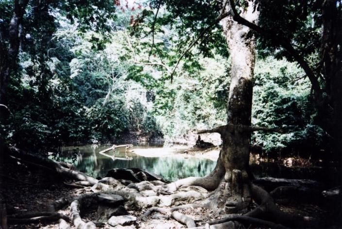 File:Rio Osun.jpg