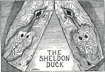 File:The Sheldon Duck.jpeg