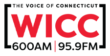 File:WICC 600 95.9 logo.png