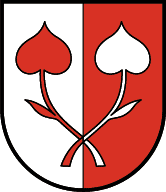 File:Wappen at koessen.png