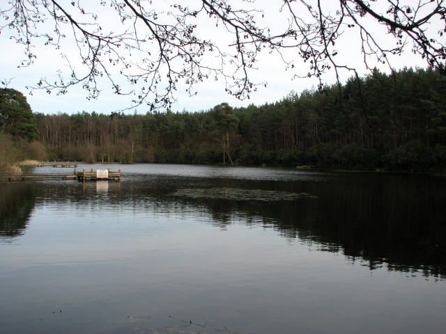 File:Captain's Pond - geograph.org.uk - 452138.jpg