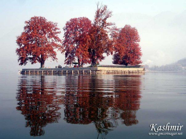 File:Char Chinar - panoramio.jpg