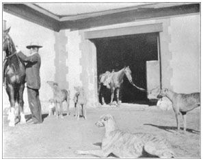 File:Hooker and dogs sierra bonita ranch.jpg