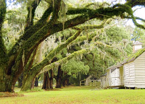 File:MansfieldSlaveVillage.jpg