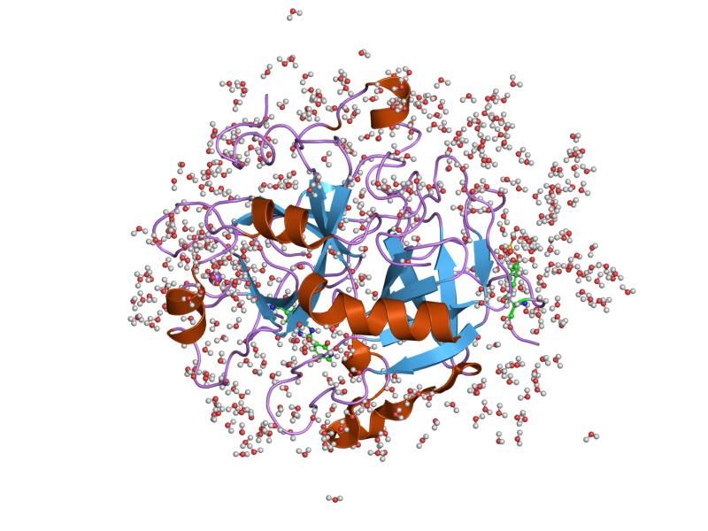 File:PDB 1ghv EBI.jpg