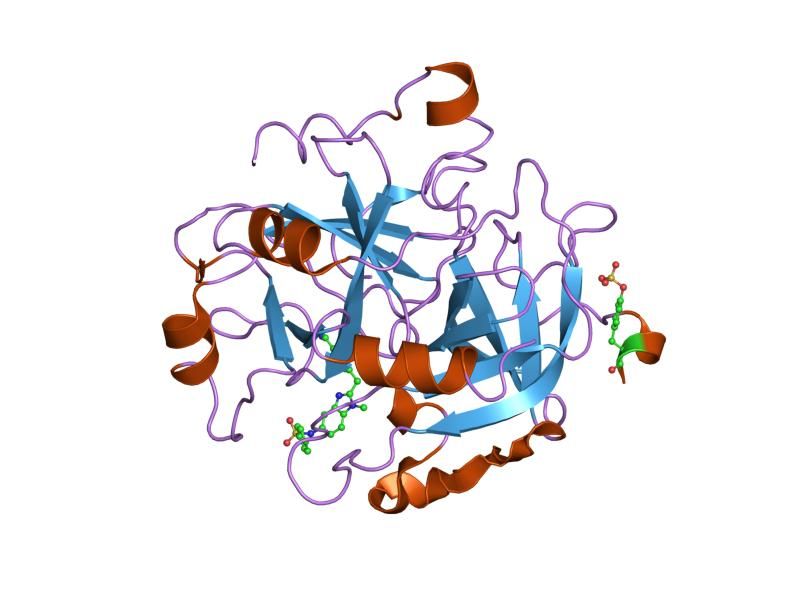 File:PDB 1ktt EBI.jpg