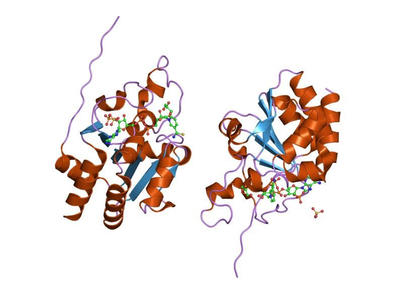 File:PDB 1pt9 EBI.jpg