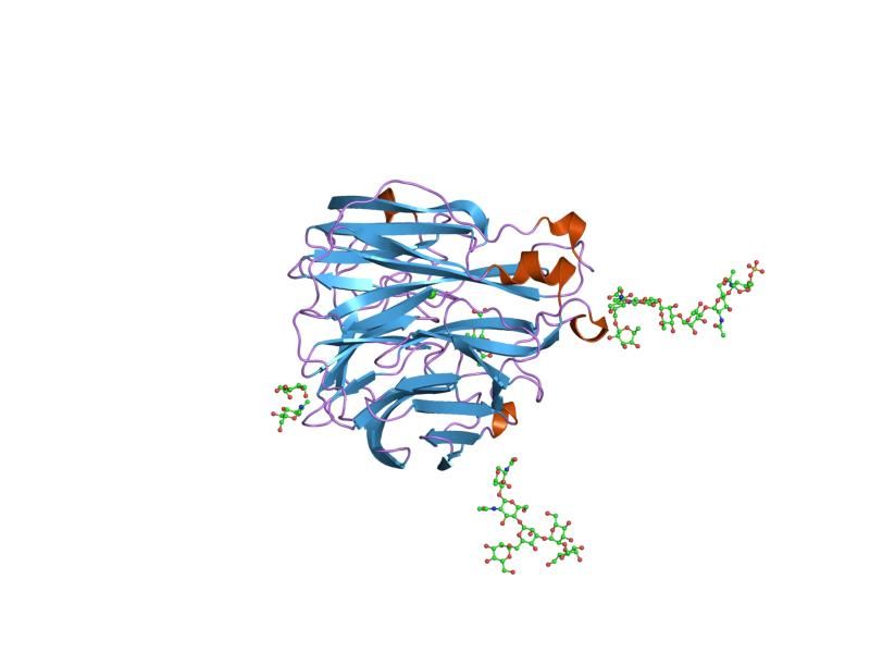 File:PDB 2bat EBI.jpg