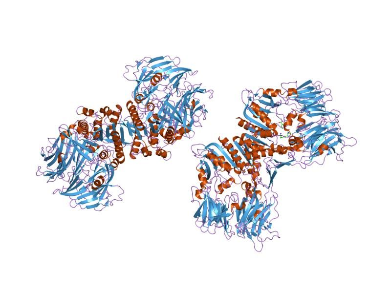 File:PDB 2g63 EBI.jpg