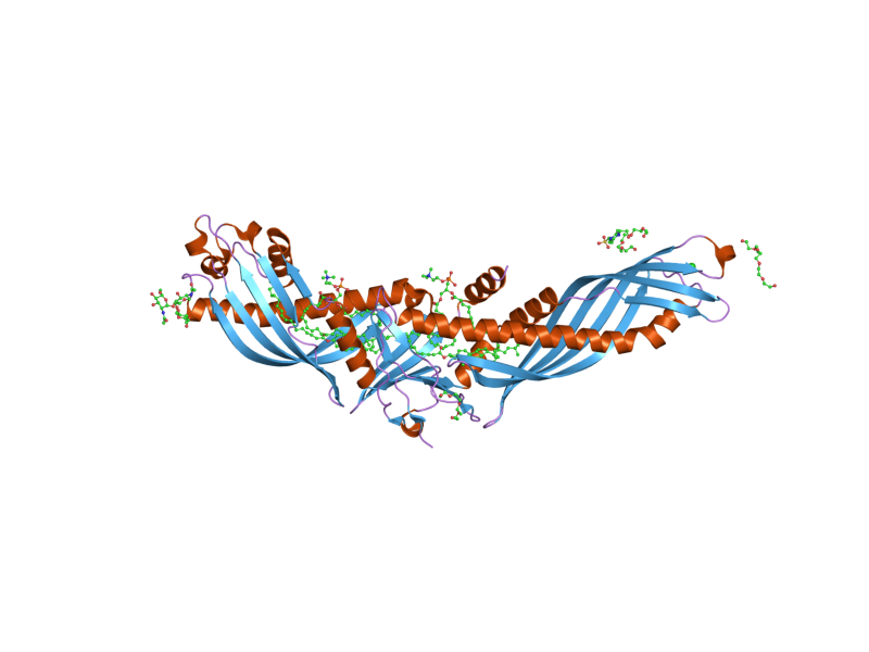 File:PDB 2obd EBI.png