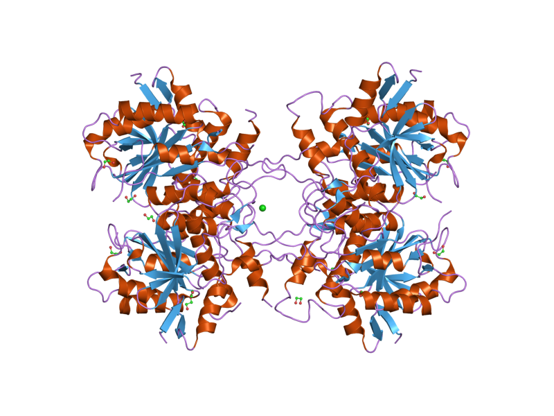 File:PDB 2p82 EBI.png