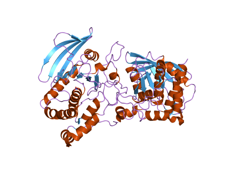 File:PDB 2pi7 EBI.png