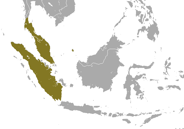 File:Sunda Loris area.png