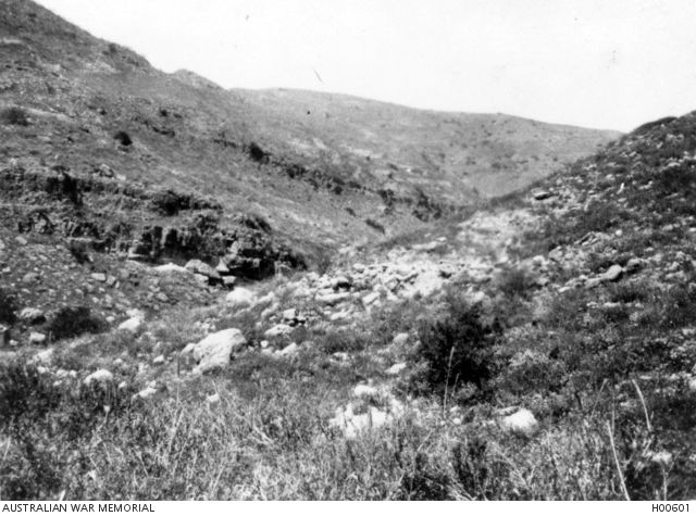 File:Wadi Es Salt.jpeg