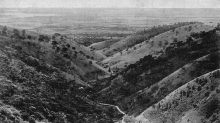 File:Waterfall Gully, 1910.jpg