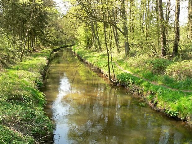 File:Allerkanal.jpg