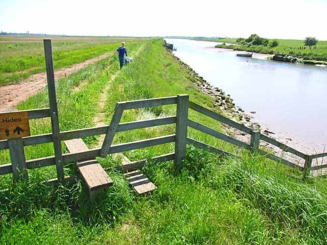 File:Hen Reedbeds - geograph.org.uk - 185061.jpg