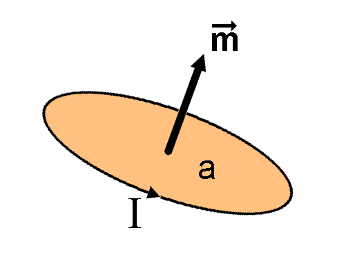 File:Magnetic moment.PNG