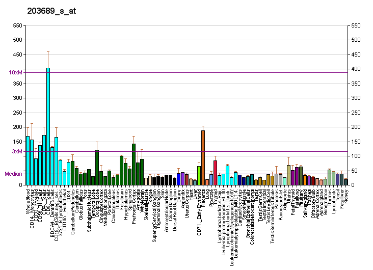 File:PBB GE FMR1 203689 s at fs.png