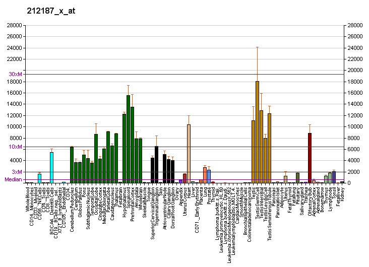 File:PBB GE PTGDS 212187 x at fs.png