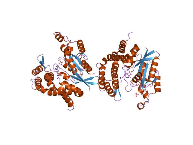 File:PDB 1gzs EBI.jpg