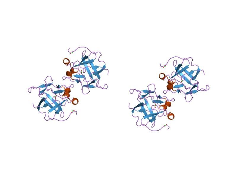 File:PDB 1jtc EBI.jpg