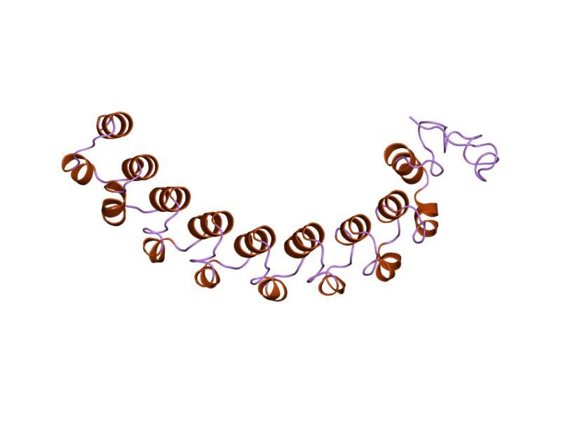 File:PDB 1lrv EBI.jpg