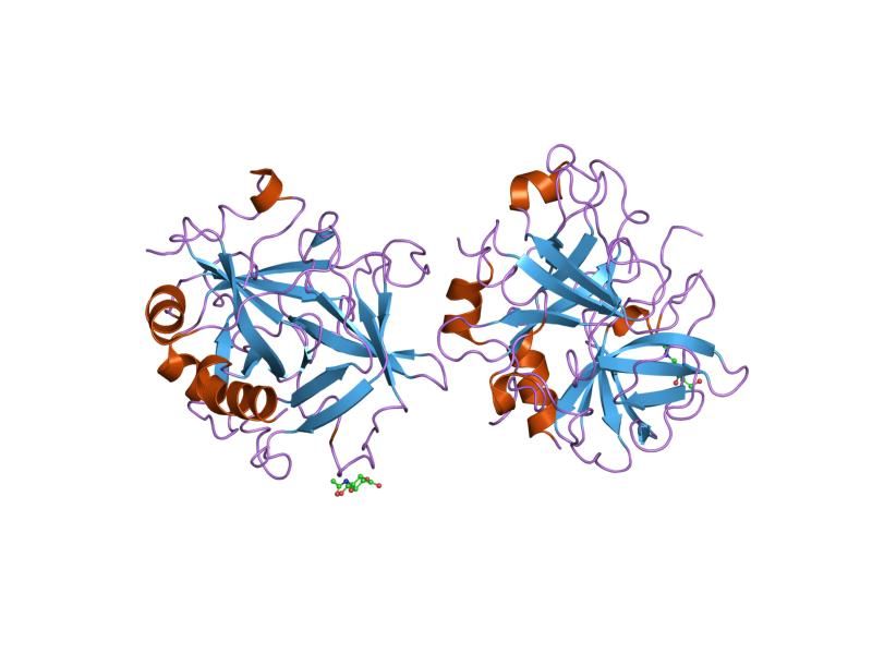 File:PDB 1mh0 EBI.jpg