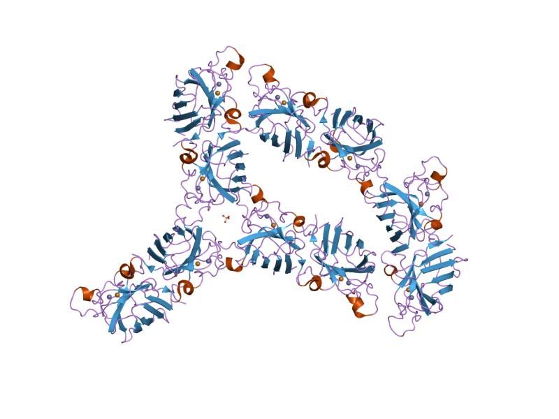 File:PDB 1n18 EBI.jpg