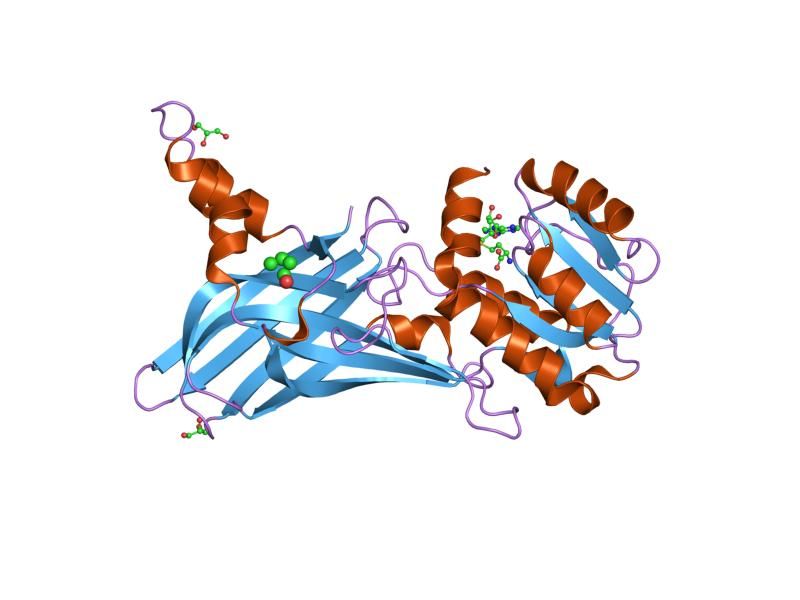 File:PDB 1or8 EBI.jpg