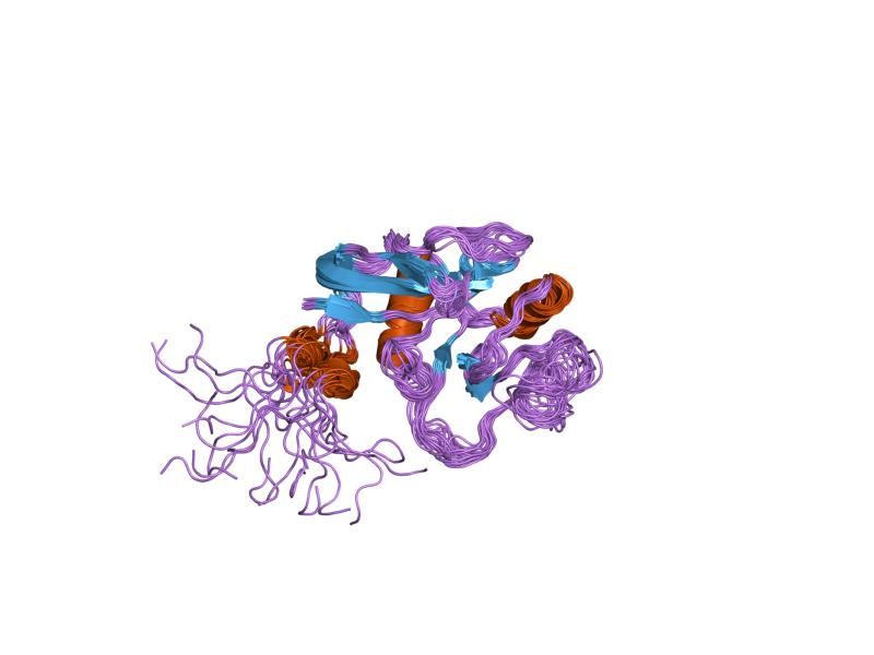 File:PDB 1poz EBI.jpg