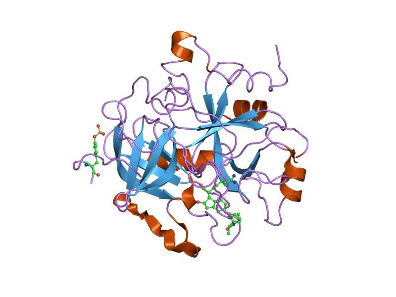 File:PDB 1qj7 EBI.jpg