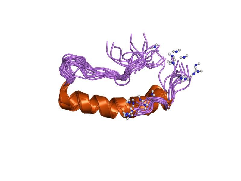 File:PDB 1ru5 EBI.jpg