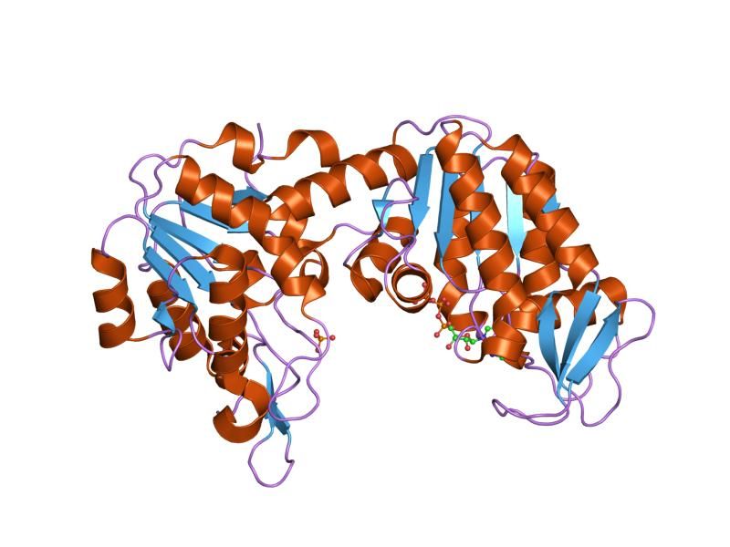 File:PDB 1vjd EBI.jpg