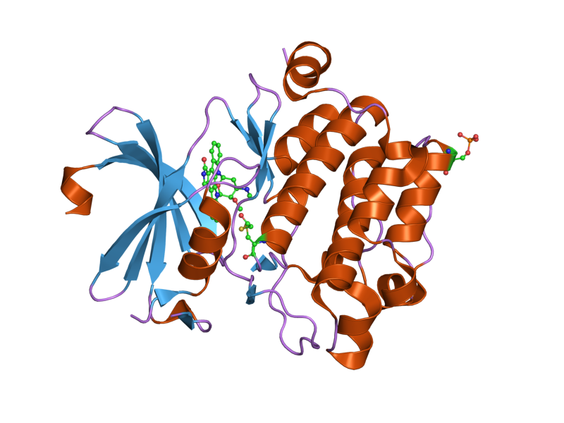 File:PDB 1yhs EBI.png