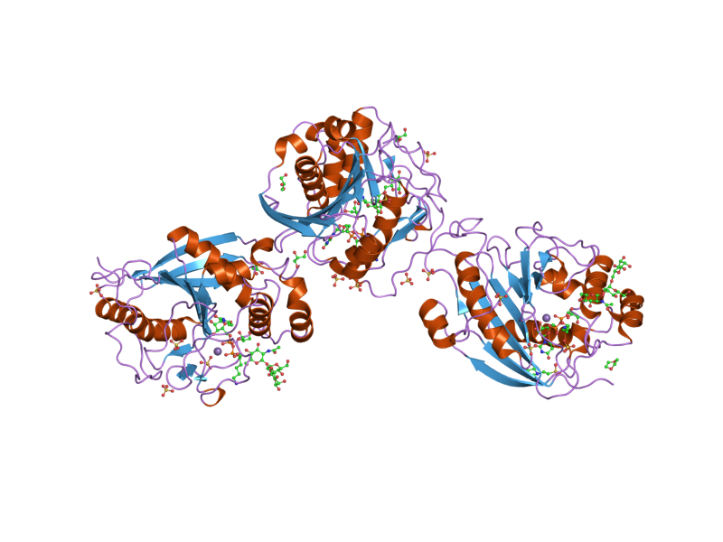 File:PDB 2aec EBI.png