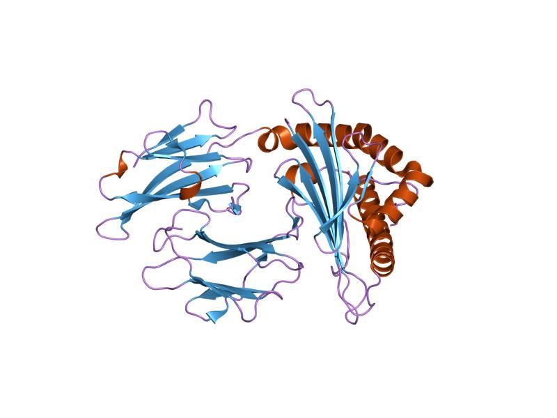 File:PDB 2bvo EBI.jpg