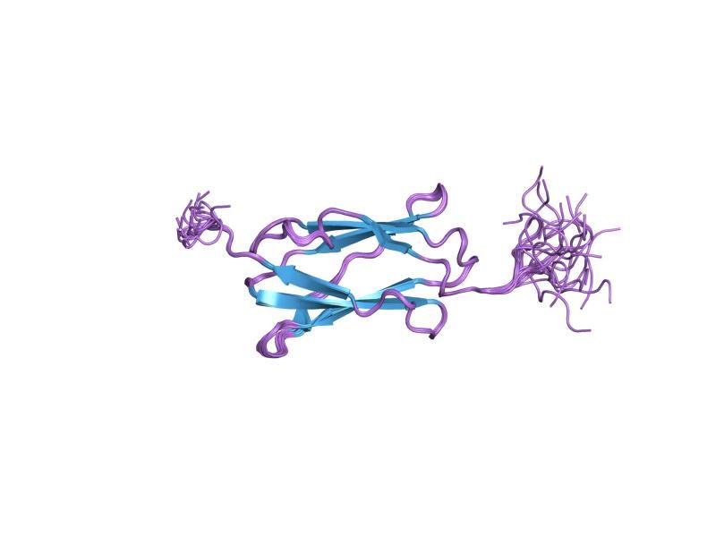 File:PDB 2dj4 EBI.jpg