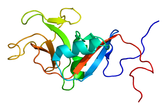 File:Protein FCER2 PDB 1t8c.png