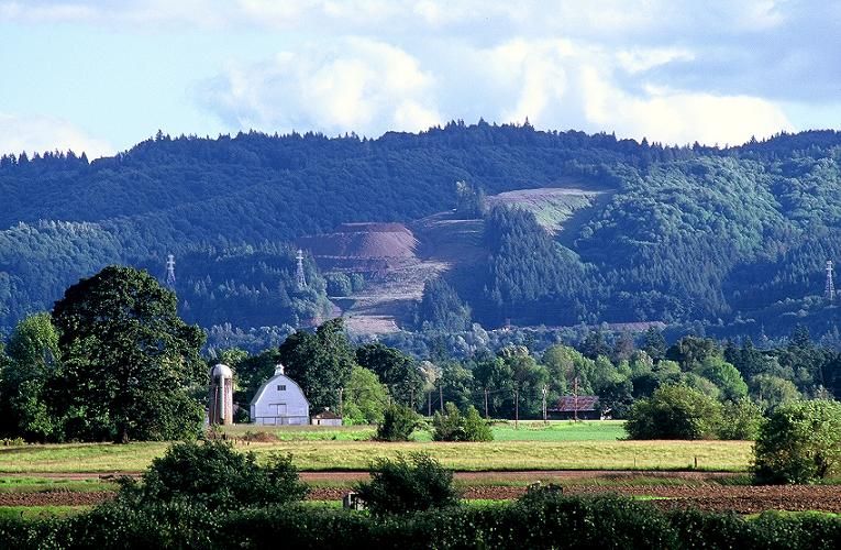 File:Sauvie Island farm MathewDodson.jpg