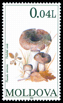 File:Stamp of Moldova 238 - 2.png