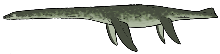 File:Westphaliasaurus simonsensii.png