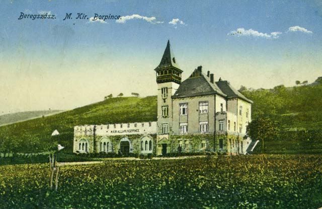 File:Berehove Schonborn Castle and Winery v001.jpg