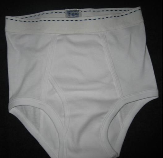 File:Briefs-flyfront-20070121.jpg