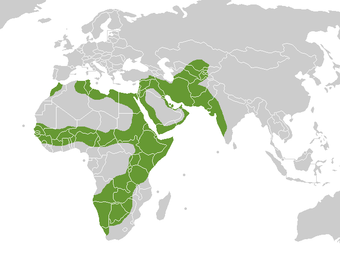 File:Caracal distribution - 2.png