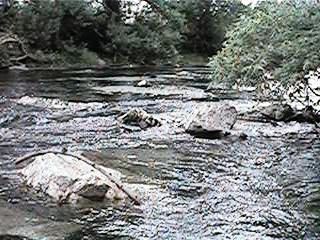 File:Chino Creek downstream from Central Avenue.jpeg